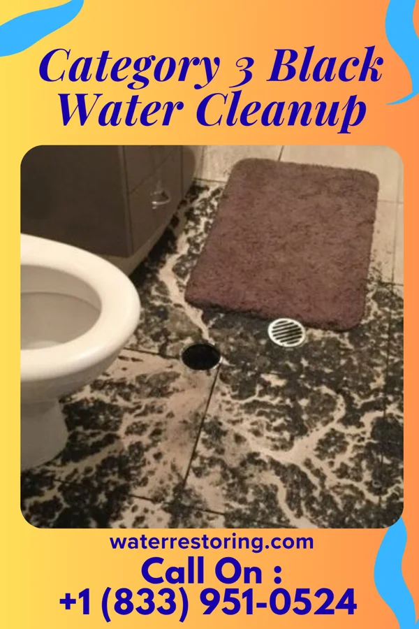 Category 3 Black Water Cleanup in Darmstadt, IN