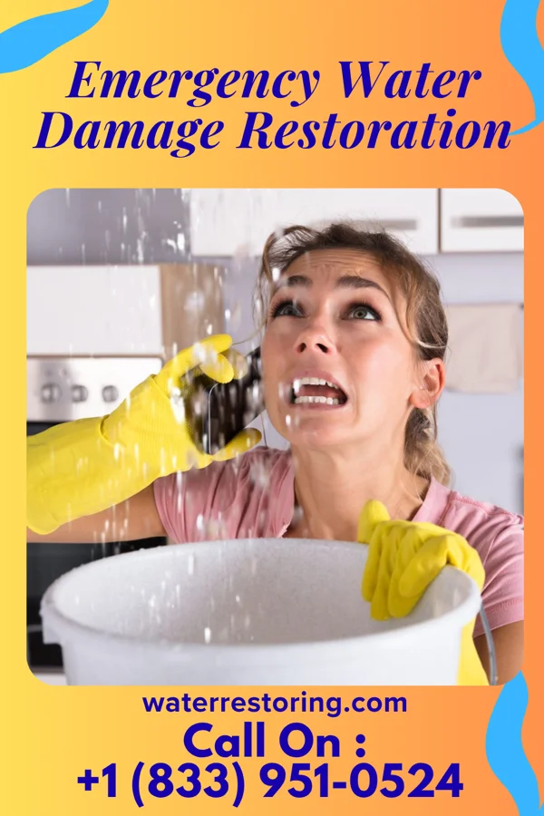 Emergency Water Damage Restoration in Darmstadt, IN
